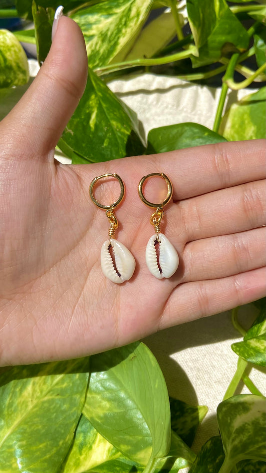 Cowrie Hoop Earrings