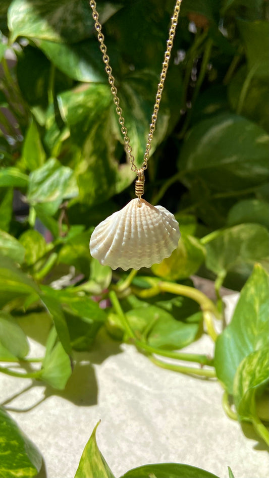 Sea Shell Necklace