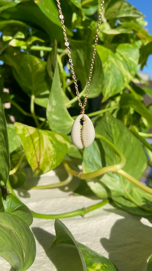 Cowrie Shell Necklace