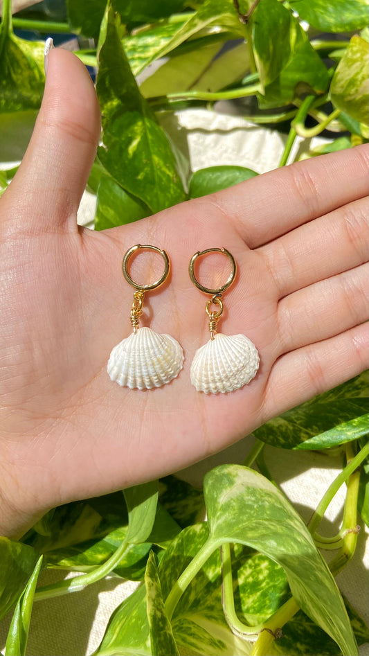 Sea Shell Hoop Earrings