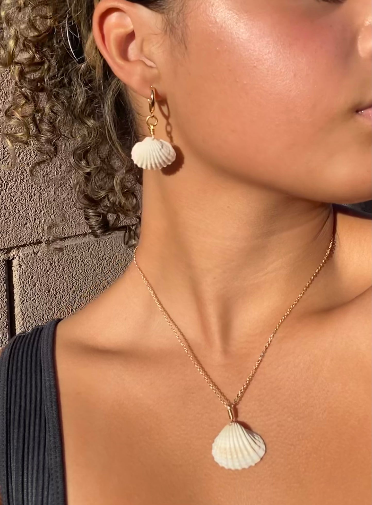 Sea Shell Hoop Earrings