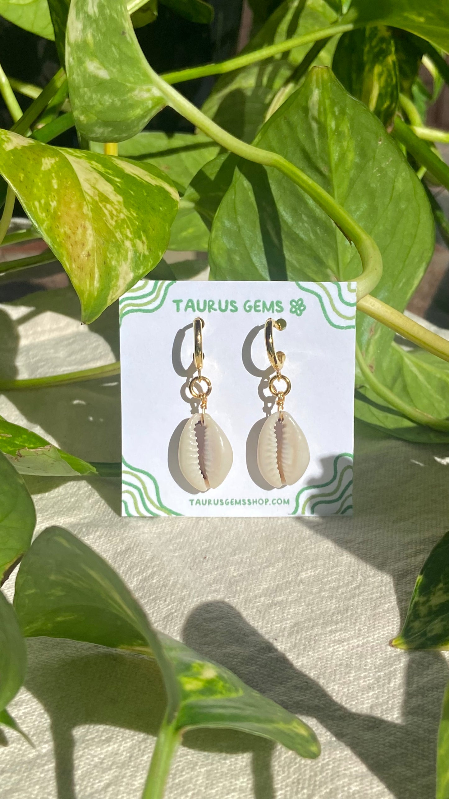 Cowrie Hoop Earrings