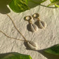 Cowrie Hoop Earrings