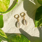 Cowrie Hoop Earrings