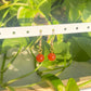 Carnelian Droplet Earrings