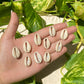 Cowrie Hoop Earrings