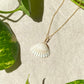Sea Shell Necklace